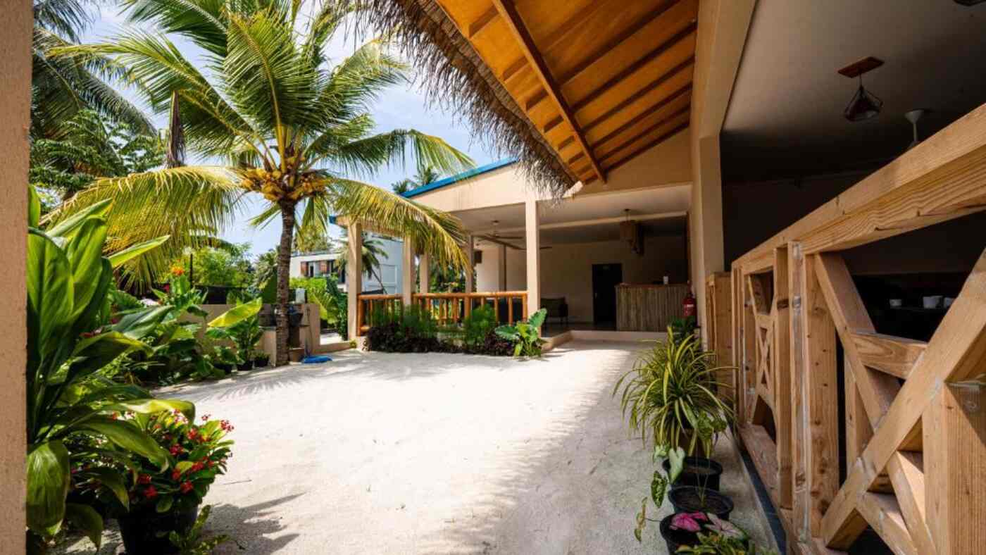 Sandy courtyard with palm trees at the guest house