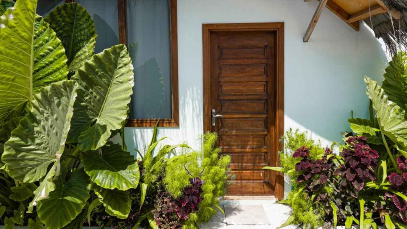 Guest room entrance framed by tropical plants